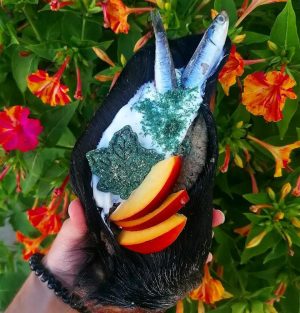 добавка за кучета и котки с кокос и спирулина Cooka's Emerald dust