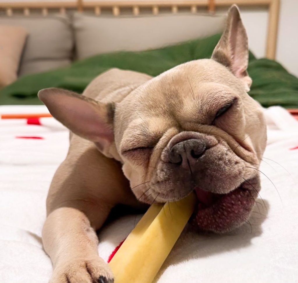 натурално лакомство за кучета