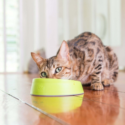 котка яде от купа LickiMat OH Bowl