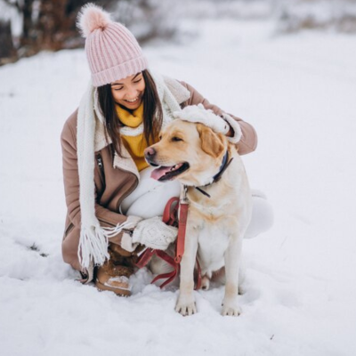куче през зимата