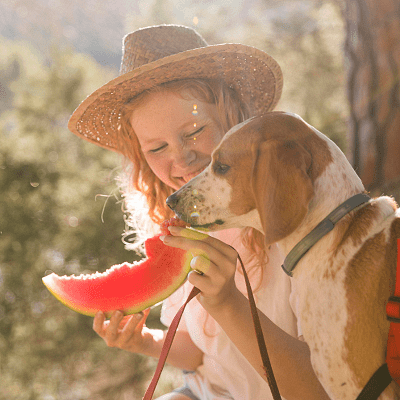 куче яде диня