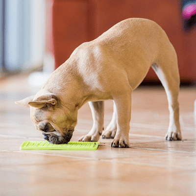 правилна грижа за lickimat classic playdate, soother, buddy