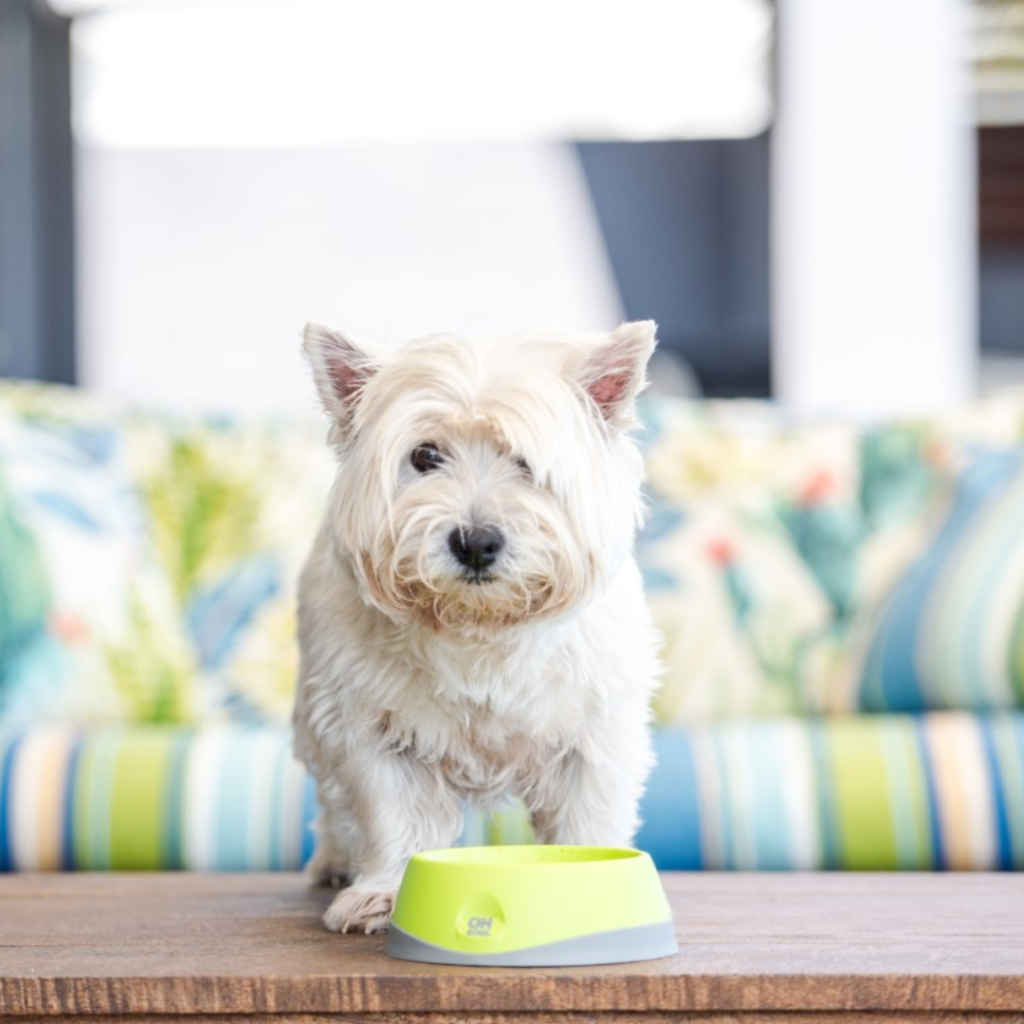 lickimat-oh-bowl-kupa-za-hranene-za-kucheta