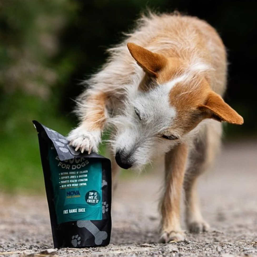 куче-с-натурален-бульон